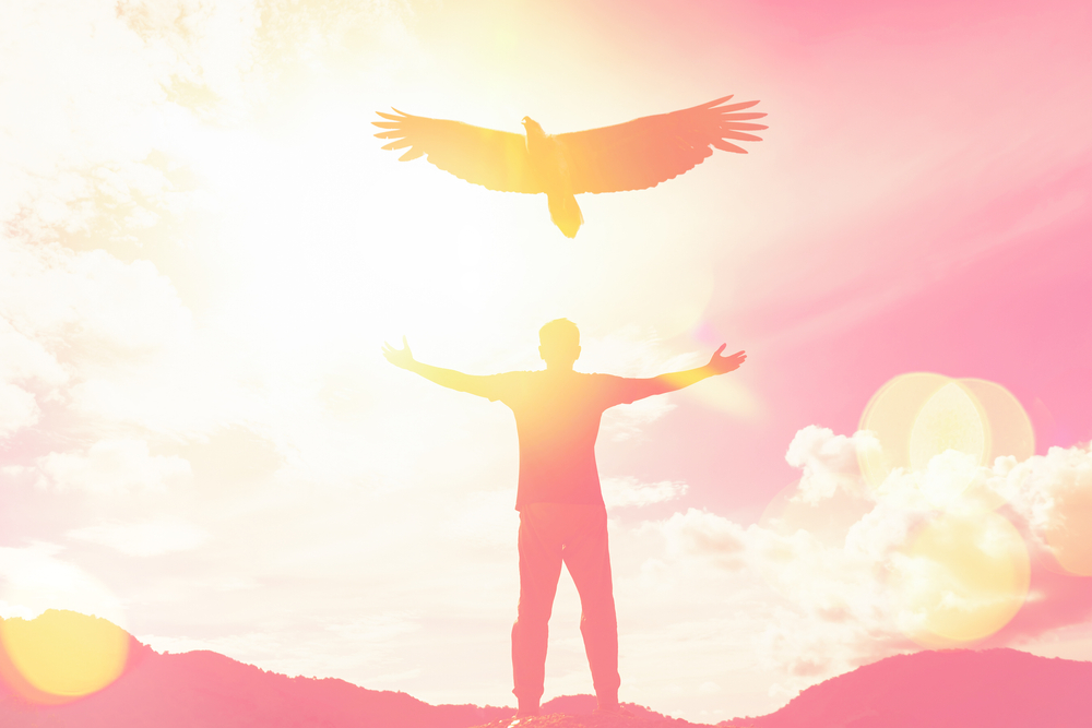 file17のアイキャッチ画像