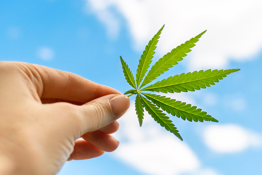 file24のアイキャッチ画像