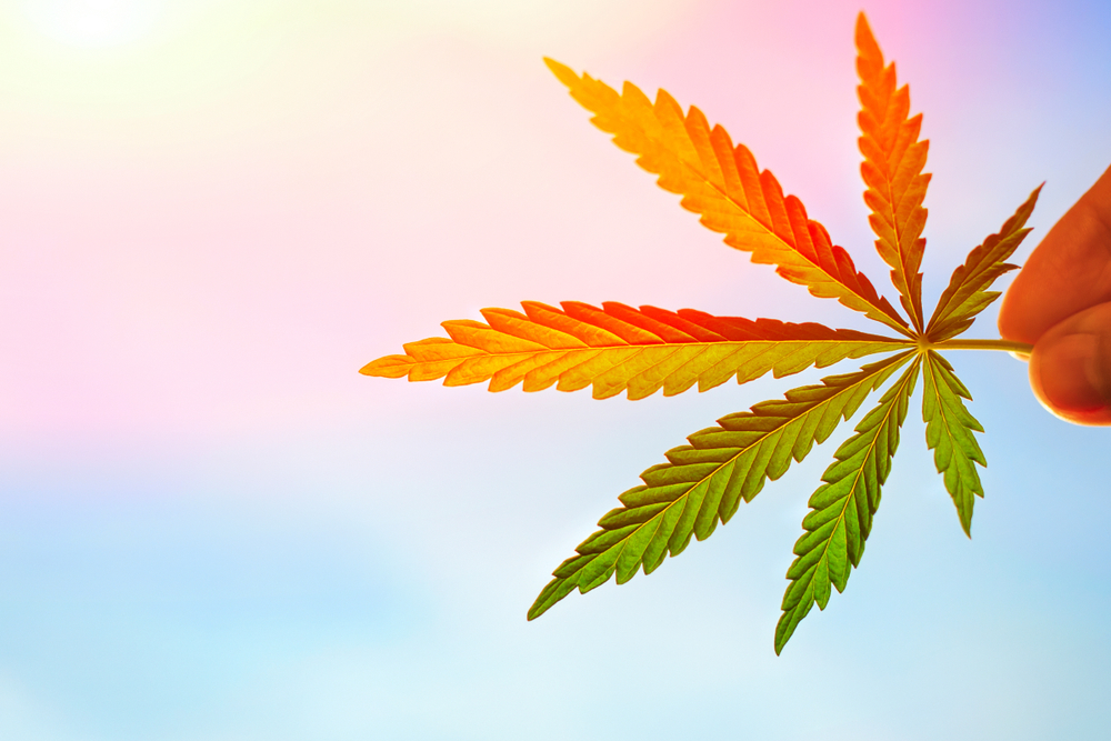 file28のアイキャッチ画像