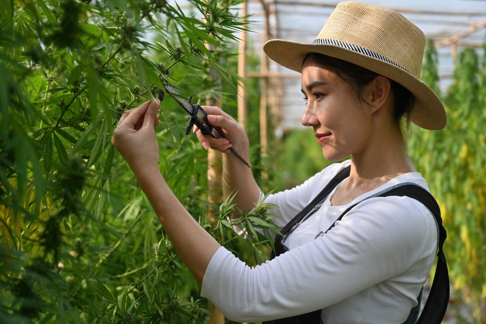 file59のアイキャッチ画像