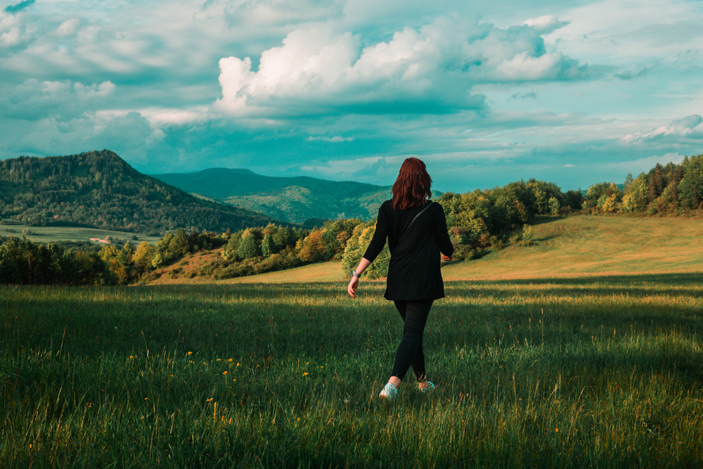 file6のアイキャッチ画像