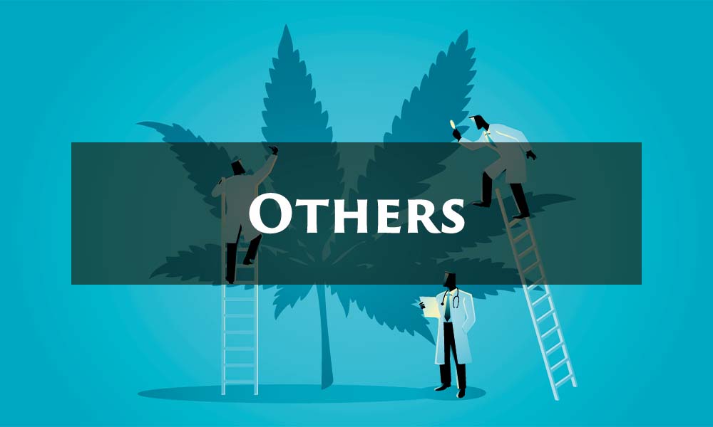 othersのイラスト