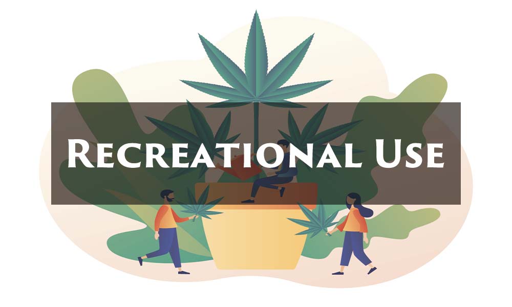 Recreacionals Useのイラスト