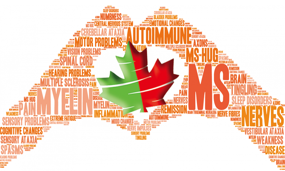 カナダ、多発性硬化症患者の半数以上が治療目的で大麻を使用