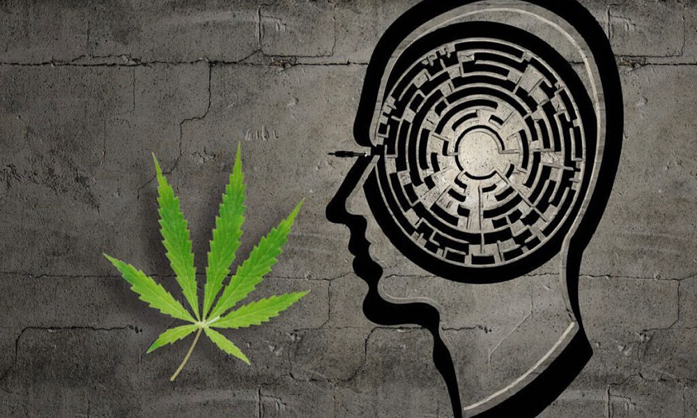 難治性PTSD患者、医療用大麻使用により主症状や睡眠の改善を報告