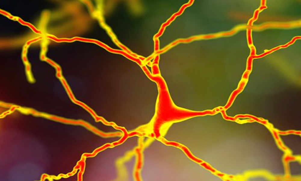 医療大麻と自閉症 -その複雑な関係