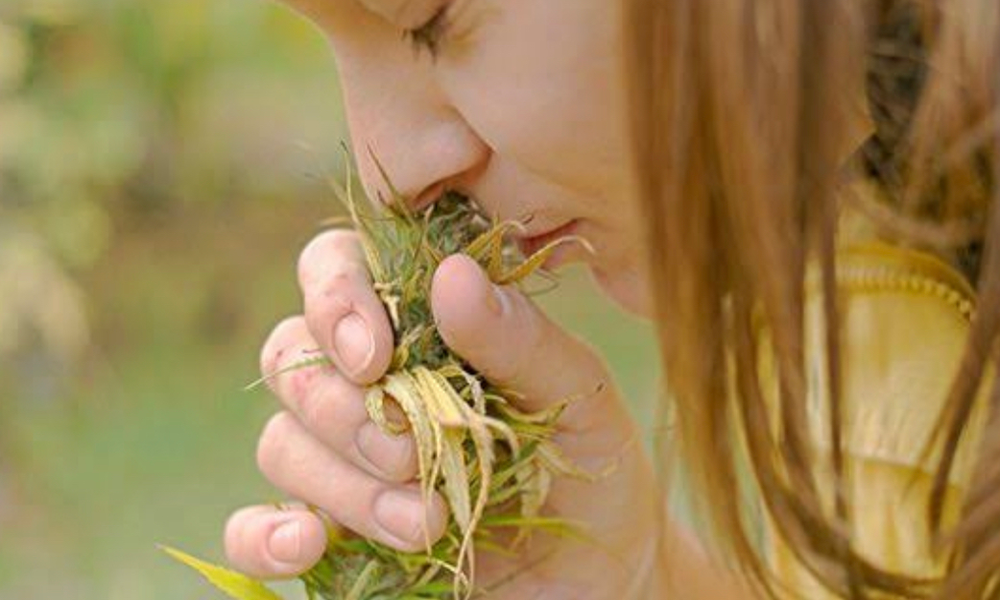 医療大麻とうつ病