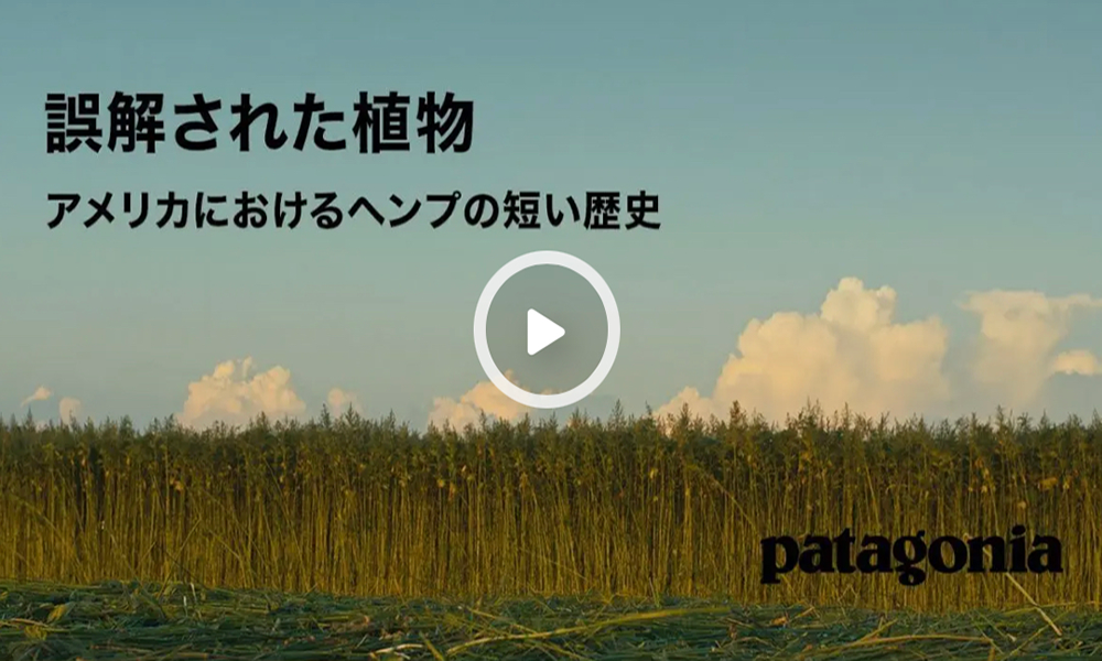 誤解された植物｜アメリカにおけるヘンプの短い歴史（MOVIE）