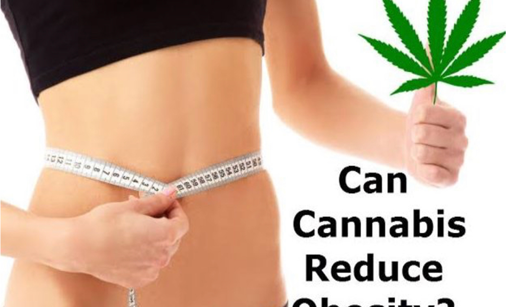 大麻を吸うと太る？やせる？