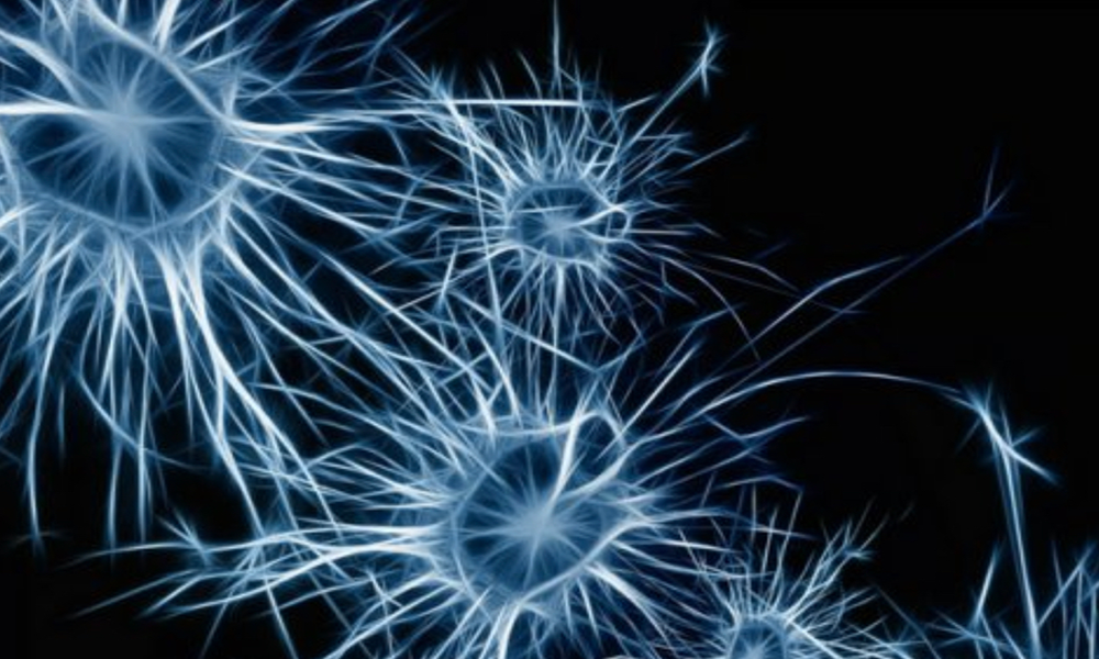 CBDとパーキンソン病