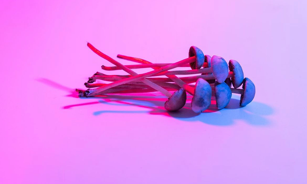 シロシビンやMDMAなどサイケデリクス（幻覚剤）の非犯罪化を米国の半数以上が支持