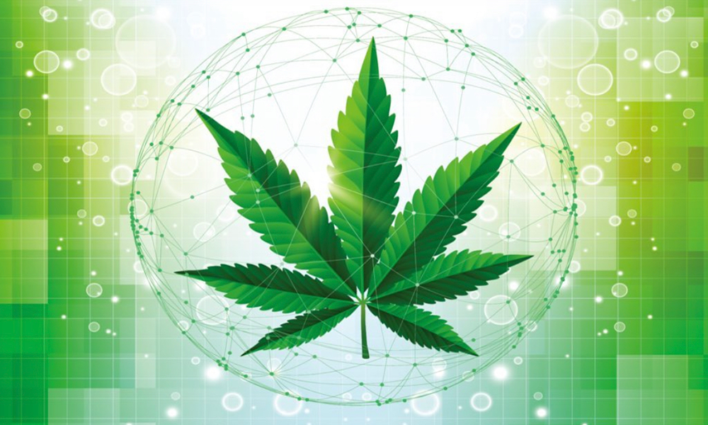 豪、医療用大麻使用者の抗不安薬や抗うつ薬などの使用量減少が明らかに