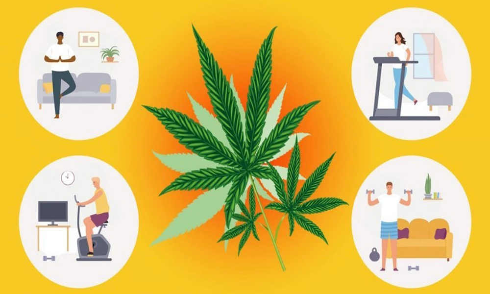 大麻の使用は運動にポジティブな影響を与える